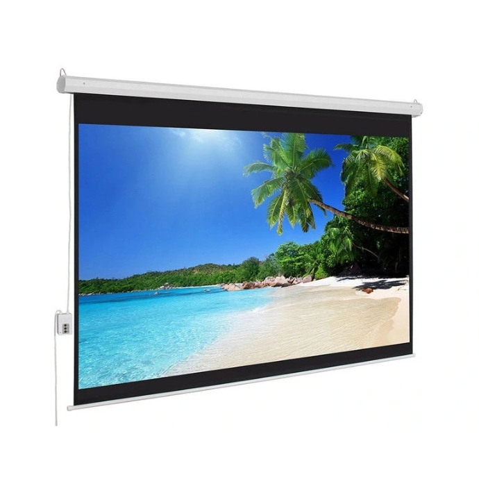 Màn chiếu điện Dalite CN-D250 (PW250ES - 250 inch)