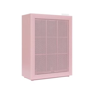 Máy lọc không khí Coway AP-1019C (P)