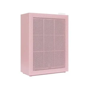 Máy lọc không khí Coway AP-1019C (P)